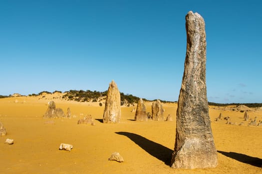 Unique geological rock formations at the Pinnacles, Nambung national park, western Australia. Famous and iconic Australian desert in the outback