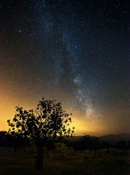 A Beautiful and Creative milkyway pictures