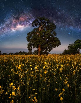 A Magical and Beautiful milkyway pictures