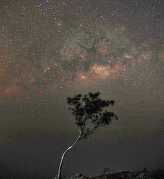 A Magical and Beautiful milkyway pictures