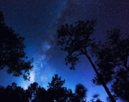A Magical and Beautiful milkyway pictures
