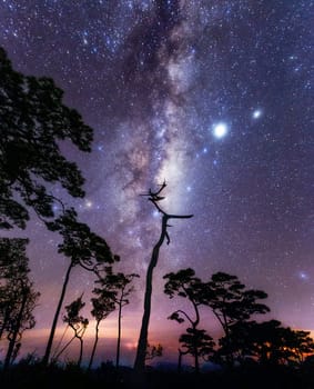 A Magical and Beautiful milkyway pictures