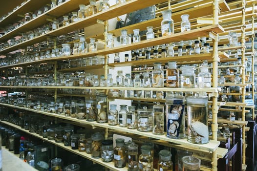 flasks test tubes with animal and virus samples on shelves in a secret biochemical laboratory in Asia