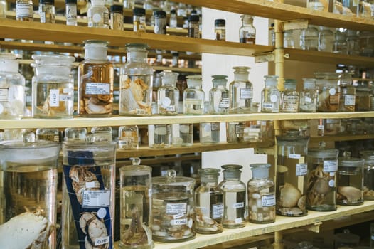 flasks and test tubes with samples of organisms in formaldehyde on shelf of a scientific secret biochemical laboratory