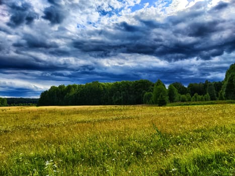 A vast golden field stretches beneath a dynamic sky filled with clouds, showcasing the beauty of nature in a peaceful moment. Dramatic landscape with disturbing clouds and clouds before a thunderstorm