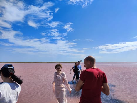 Elista, Russia - April 22, 2024: Groups of tourists walk along the colorful surface of the Pink Salt Lake in Kalmykia, enjoying the scenery under a clear blue sky.