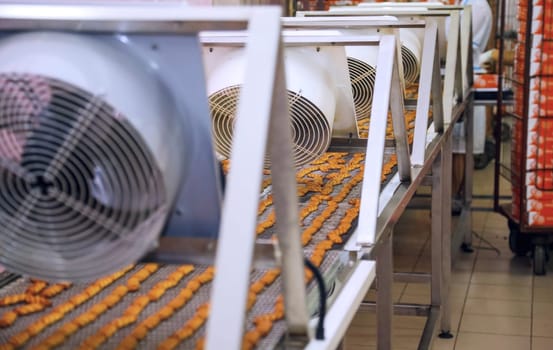 A detailed view of a biscuit production line, highlighting the machines and fans that maintain optimal conditions for baking biscuits.