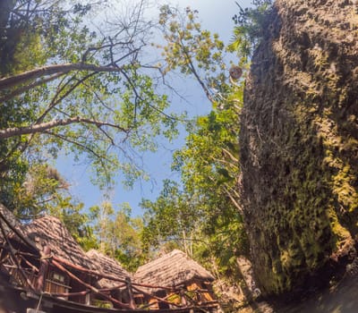 Scenic cenote in Xcaret park surrounded by lush jungle. Natural beauty, eco-tourism, and adventure travel concept in Quintana Roo, Mexico.