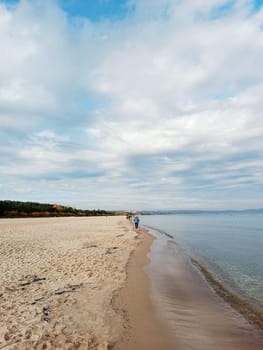 people walk on Baltic north blue sea horizon cloudy day sand beach winter autumn season cold forest. High quality photo