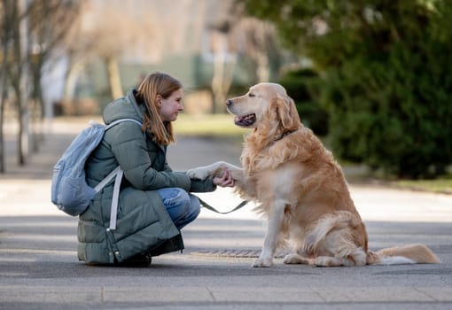 Golden Retriever Gives Paw To Its Young Girl Owner During Winter Walk With Dog