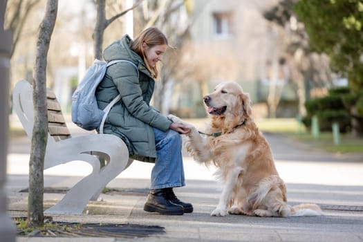 10-Year-Old Girl Sits On Bench, Giving Paw To Golden Retriever Dog, In Spring Outdoors