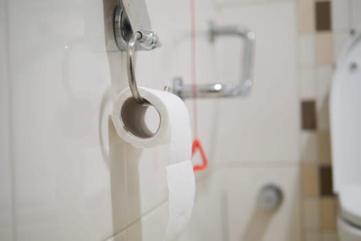 A closeup of a stylish toilet paper roll in a modern bathroom, showcasing design and utility