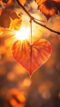 A heart-shaped leaf illuminated by sunlight, symbolizing love and nature.