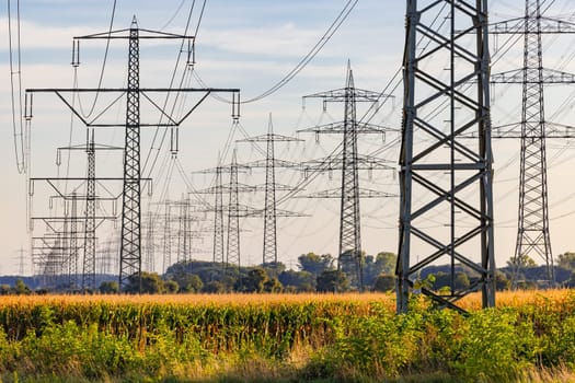 Countless high-voltage pylons and power lines up to the horizon in a cornfield disturb the landscape at sunset