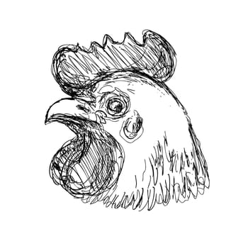 Drawing sketch style illustration of a head of a Leghorn chicken or hen viewed from side done in black and white line art.
