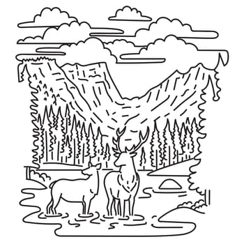 Mono line illustration of elk or wapiti in Rocky Mountain National Park in northern Colorado spanning the Continental Divide in the United States of America done in monoline line art style.
