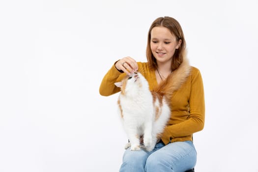 A joyful and delightful moment of a little girl interacting playfully with her fluffy cat in a bright studio space
