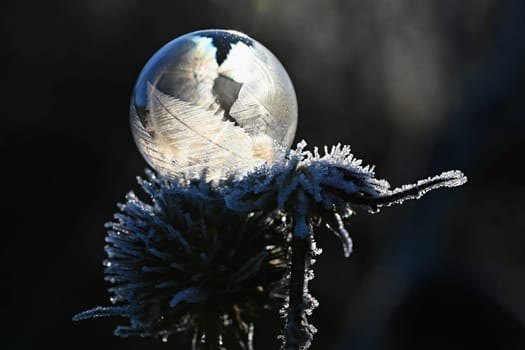 Frozen bubble in nature. A beautiful macro shot of nature in winter. Concept for environment, water and frost.