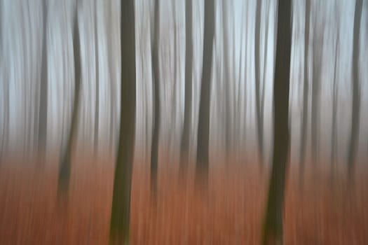 Trees in the forest with fog. Blurred - photographed with movement as art. Concept for landscape with winter nature. Cold weather with fog in winter time.