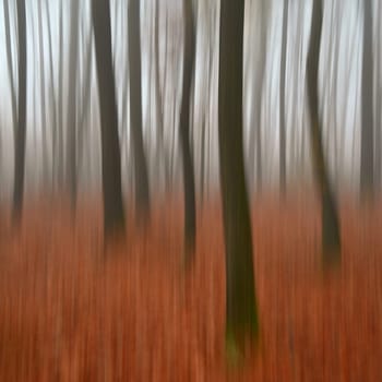 Trees in the forest with fog. Blurred - photographed with movement as art. Concept for landscape with winter nature. Cold weather with fog in winter time.