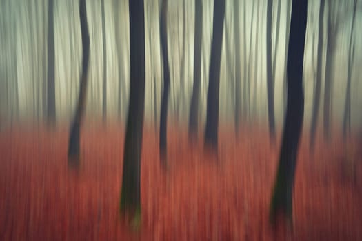 Trees in the forest with fog. Blurred - photographed with movement as art. Concept for landscape with winter nature. Cold weather with fog in winter time.