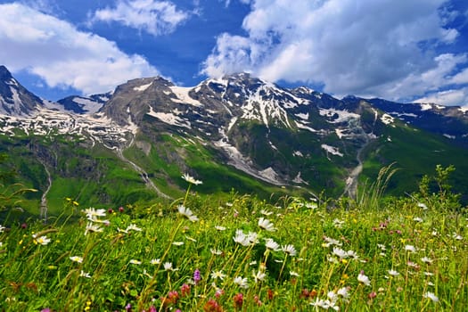 Grossglockner high mountain road in Austria. Surrounded by mountains and green forests. Landscape with nature in the Alps. A great place for sports, recreation and outdoor activity holidays. Großglockner is the highest mountain in Austria at 3798 m above sea level.