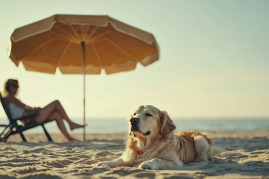 A serene scene featuring a peaceful dog lying on soft sand under a beach umbrella, enjoying the warmth of the sun with calm ocean waves in the background.