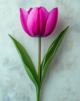 A soft pink tulip with lush green leaves sits against a light textured background, capturing the essence of spring