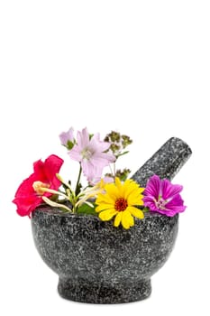 mortar with , flowers of chamomile, clover, oregano, mignonette, elecampane isolated on white background