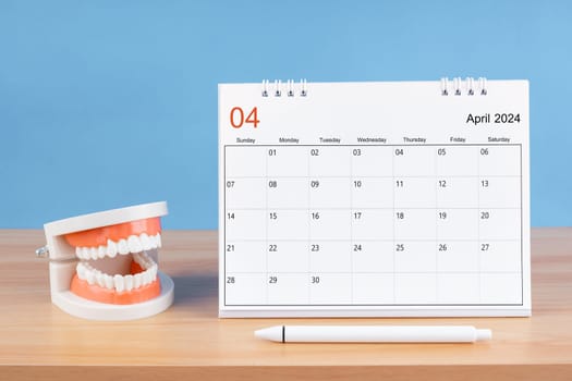 April monthly desk calendar for 2024 year and model dentures on the table. Dental health concepts.