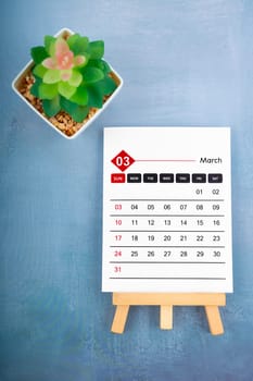 2024 March calendar page and plant pot on blue wooden background.