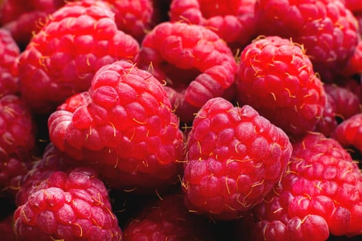 Fresh sweet raspberries close up. Ecologically grown raspberries, raspberry background.