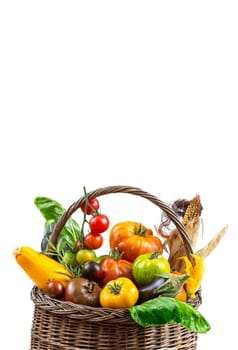 Basket with vegetables (cabbage, carrots, cucumbers, radish and peppers) in the hands of a farmer background of nature Concept of biological, products,