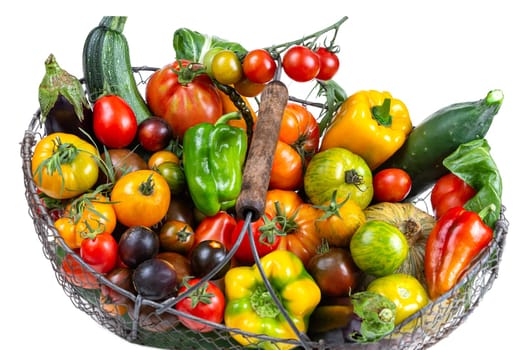 Basket with vegetables (cabbage, carrots, cucumbers, radish and peppers) in the hands of a farmer background of nature Concept of biological, products,