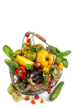 Basket with vegetables (cabbage, carrots, cucumbers, radish and peppers) in the hands of a farmer background of nature Concept of biological, products,