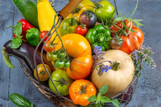 Basket with vegetables (cabbage, carrots, cucumbers, radish and peppers) in the hands of a farmer background of nature Concept of biological, products,