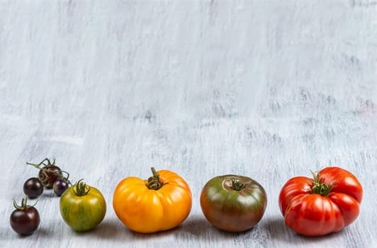 fresh line of heirloom and heritage tomatoes from the garden allotment. Multicoloured, red, green, black, purple, orange and yellow tomatoes