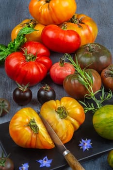 freshly harvested heirloom and heritage tomatoes on cuting board . Multicoloured, red, green, black, purple, orange and yellow tomatoes ready to eat