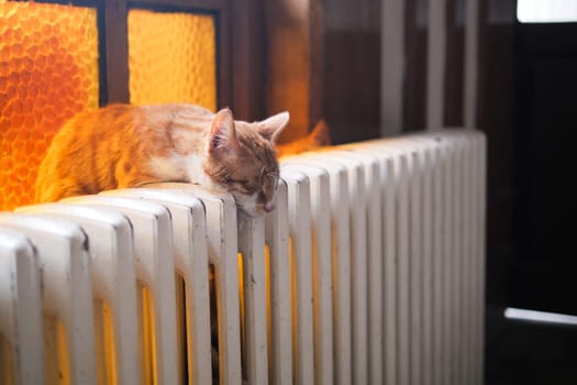 A cat is peacefully lounging on a radiator, joyfully basking in the warm sunlight that streams in