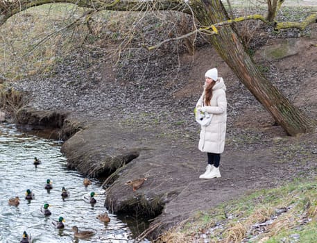 Woman in the winter coat feeding ducks in the pond