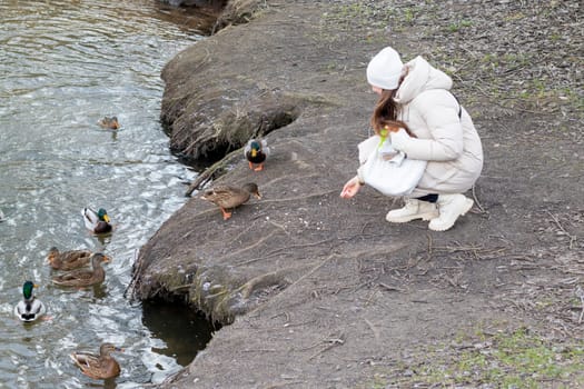 Woman in the winter coat feeding ducks in the pond
