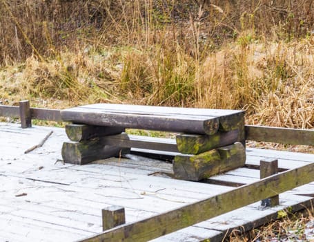 Wooden bench in the winter park