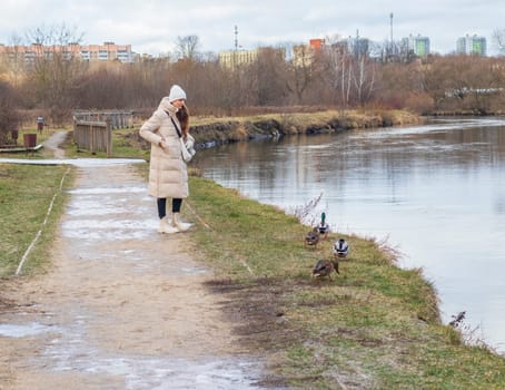 Woman in the winter coat feeding ducks in the pond. Nature