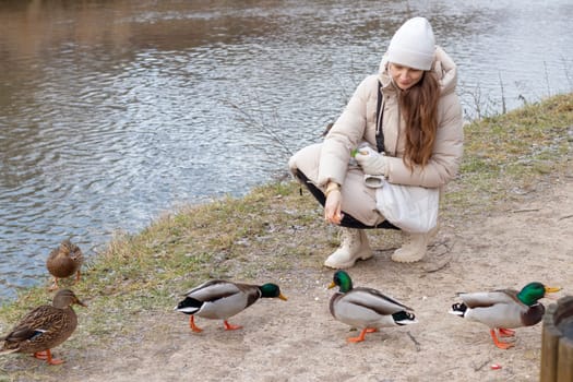 Woman in the winter coat feeding ducks in the pond