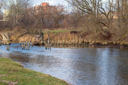 Shot of the river at autumn