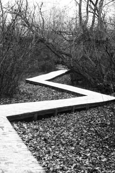 Wooden path walk in the park covered with frost