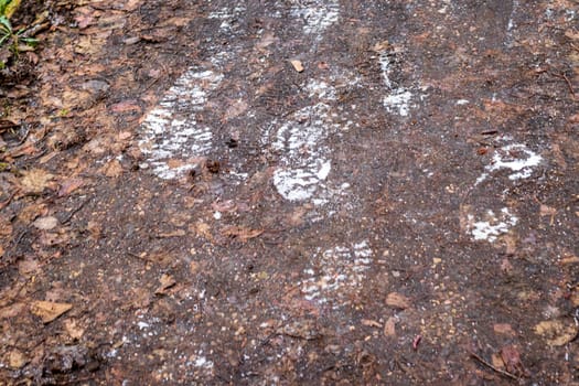 Shot of the frosty steps on the dirt
