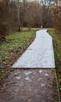Wooden path walk in the park covered with frost