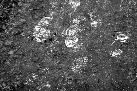 Shot of the frosty steps on the dirt