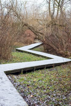 Wooden path walk in the park covered with frost